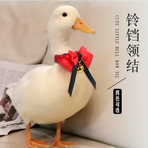 Cole duck clothes Bow collar collar collar slip duck Pet duck cloth pocket supplies utensils Duck duck warm