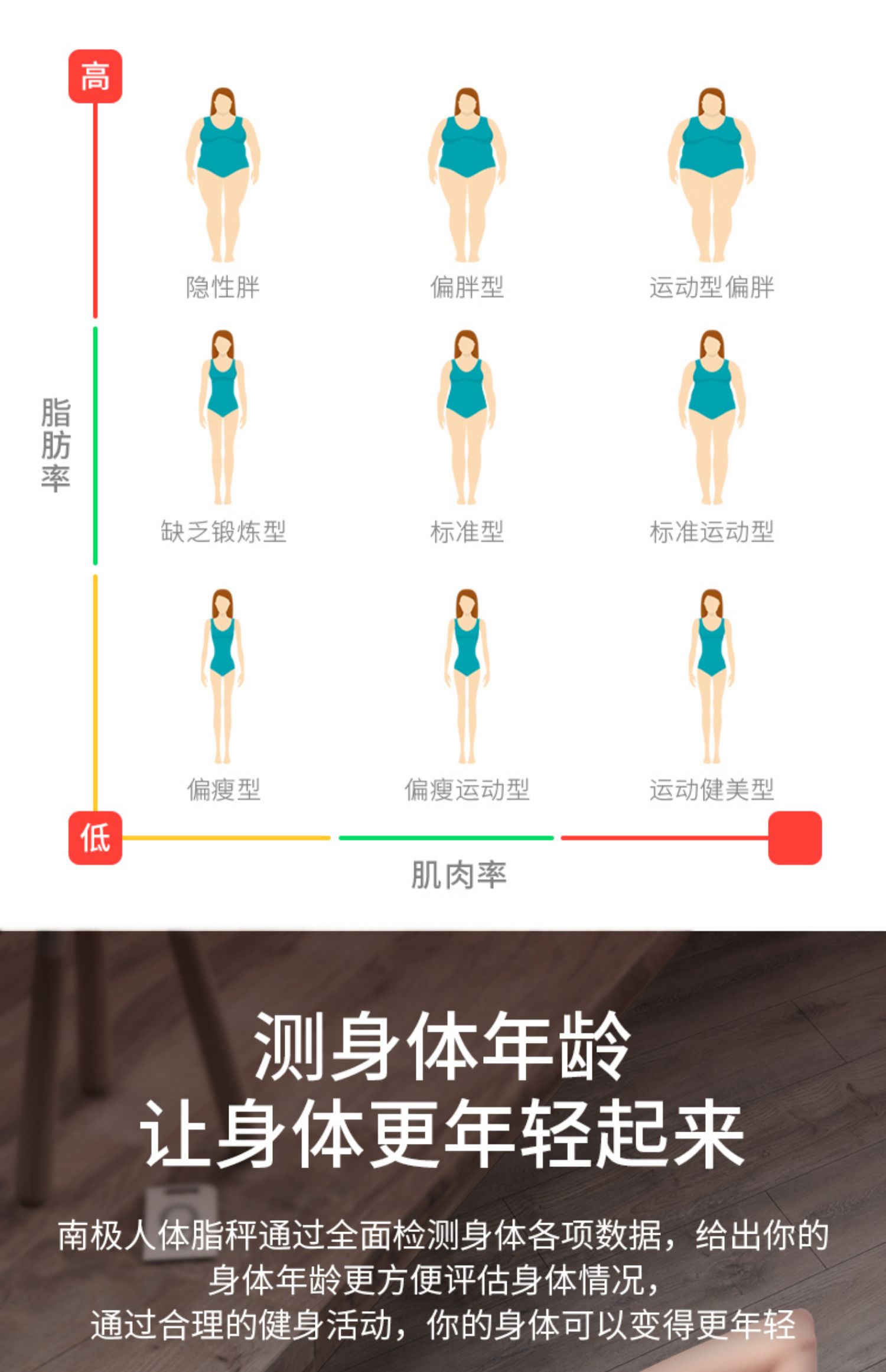 南极人智能体脂称体重秤家用精准女生小型人体减肥脂肪成人电子秤_券