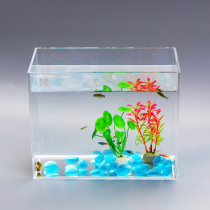 Wall-mounted real water grass three-dimensional desktop fighting fish tank home aquarium acrylic grass tank tropical rainforest micro-view tank