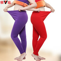 Yalu large size plus velvet pants women winter base thick cotton pants fat mm200 kg fat increase elderly warm pants