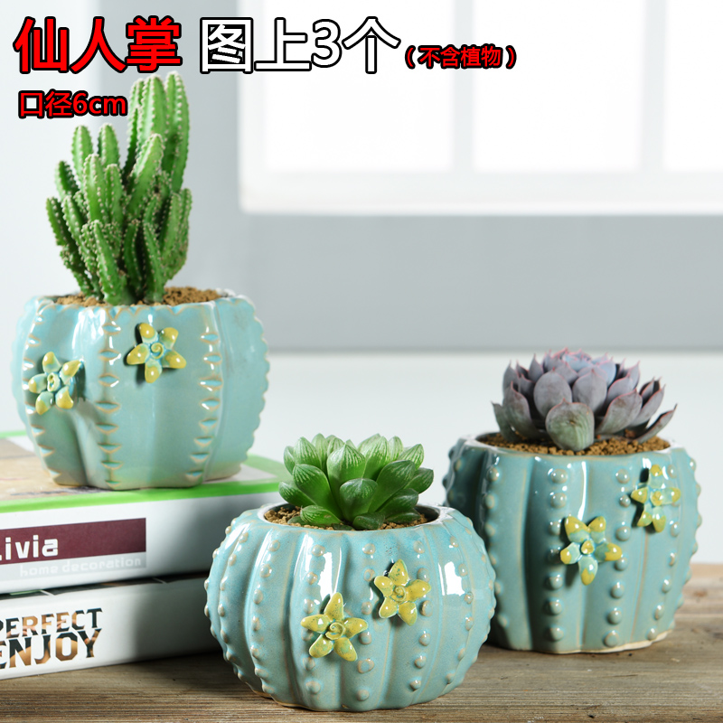 Hao chun fleshy potted plant violet arenaceous coarse pottery, green plastic contracted ceramic individuality creative small potted the plants wholesale