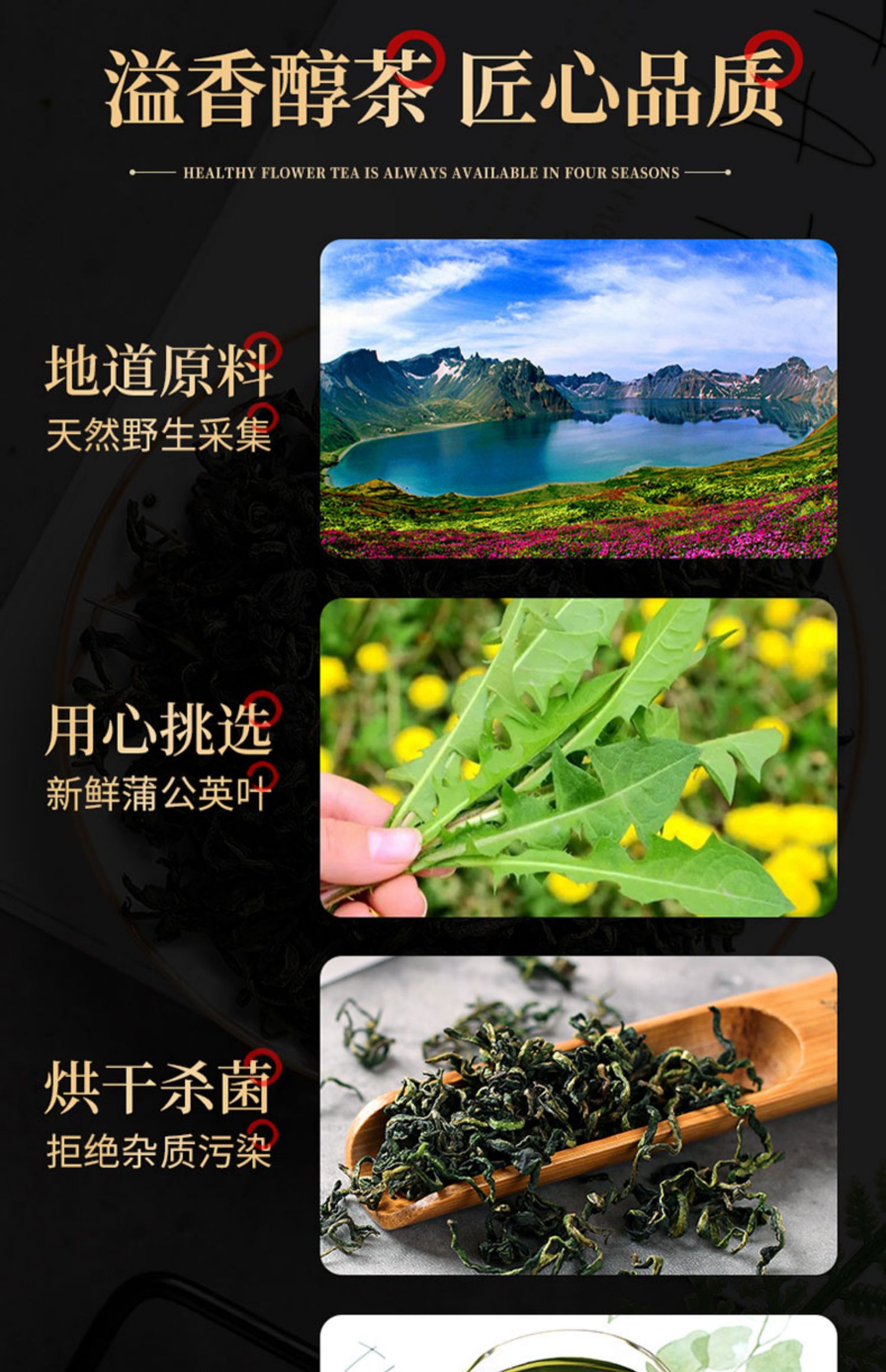 【可签到】蒲公英茶婆婆丁茶250g【买1发5】