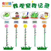 (Cloth fun_natural angle) kindergarten breeding angle breeding hydroponic planting area plant angle observation record column