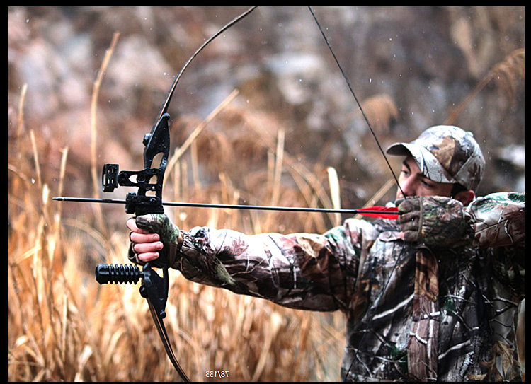 军兴弓箭 反曲弓箭 美式猎弓分体狩猎比赛射击运动传统金属美猎_双氙