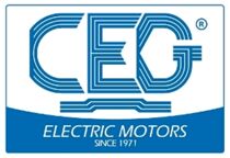 Italy CEG motor M63Mb4 0 18KW brake motor ceramic printing special brake motor