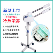 Taidong steam face beauty instrument household hot and cold sprayer double tube single tube beauty salon steam cold spray humidifier