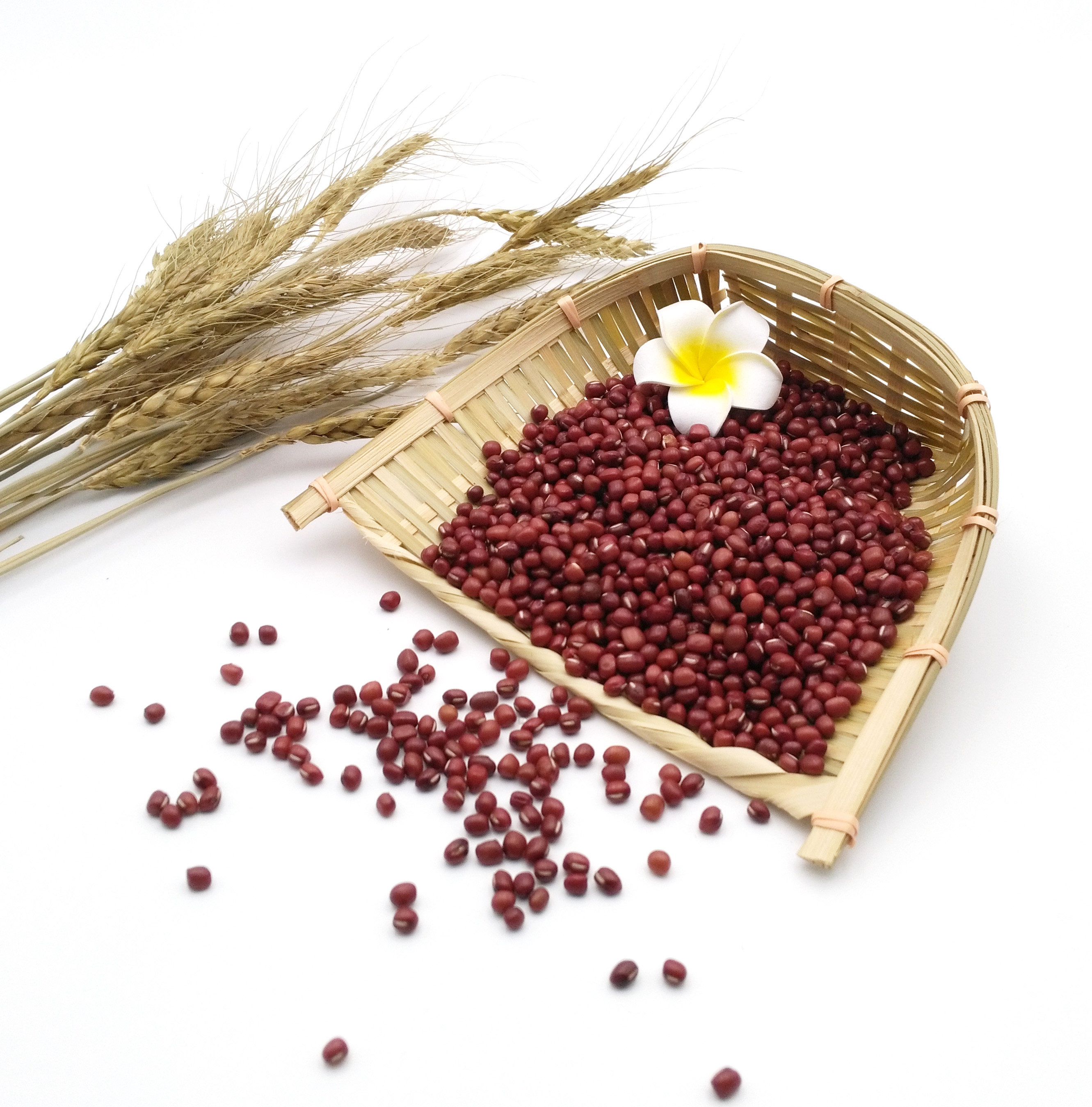 东北红小豆农家自产新货小红豆赤小豆赤豆纯天然祛湿450g满38包邮