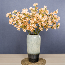 Balloon Flower Emulation High Quality Silk Flower Fake Bouquet Indoor Genguan Living-room Decoration Flower Ceramic Vase Countertop Hem