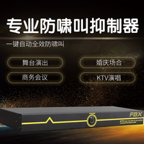 Professional microphone anti-howling suppressor Automatic KTV stage wedding 2 in 2 out 6 in 6 out feedback frequency shifter