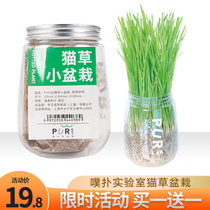 PurLab poop pluck lab cat grass small potted seed planting catnip hair removal ball snack natural oil cream