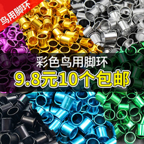 Pigeon foot ring identification ring foot ring carrier pigeon racing pigeon meat pigeon aluminum alloy foot ring pigeon equipment supplies