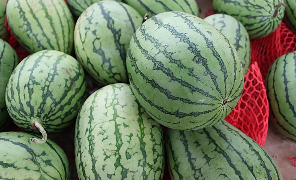 夏季挑西瓜绝招,一挑一个准!