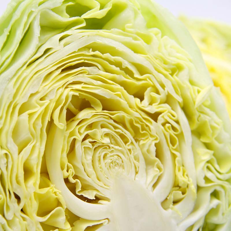 小汤山圆白菜约500g安心蔬菜当天采摘顺丰次日达卷心菜