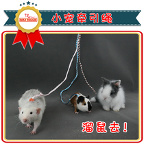 Florist Sage Hamster Rabbit Angel Traction Rope Walking Squirrel God Instrumental Training Rope Chain Sub Toys Out of special supplies
