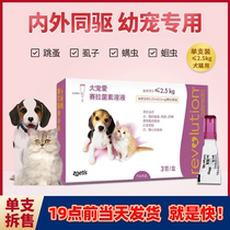 Large darling in vivo in vitro insect repellent drug puppies puppies puppies Insect Repellent for Insect Repellent and Insect Repellent
