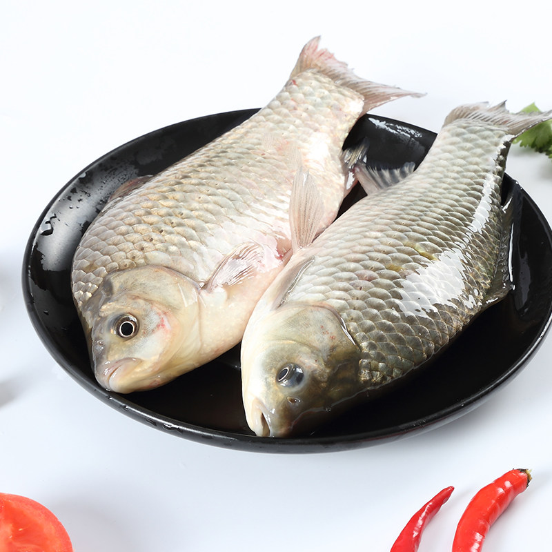 正宗野生鲫鱼新鲜淡水野鱼鲜活