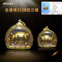 Thailands Buddhist dragon Boron Kun 2538 Guanlan pig gold shell pendant necklace appraisal