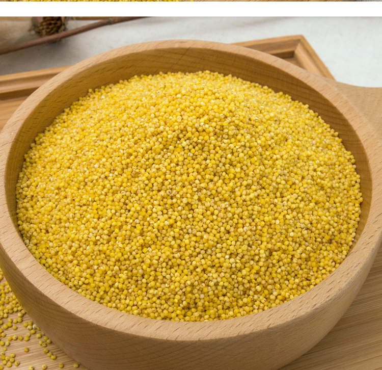 新米河北张家口特产蔚县花农家黄小米小黄米新米蔚州小米粥5斤