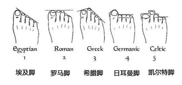 中国人的脚型分5种,看看你是哪一种?