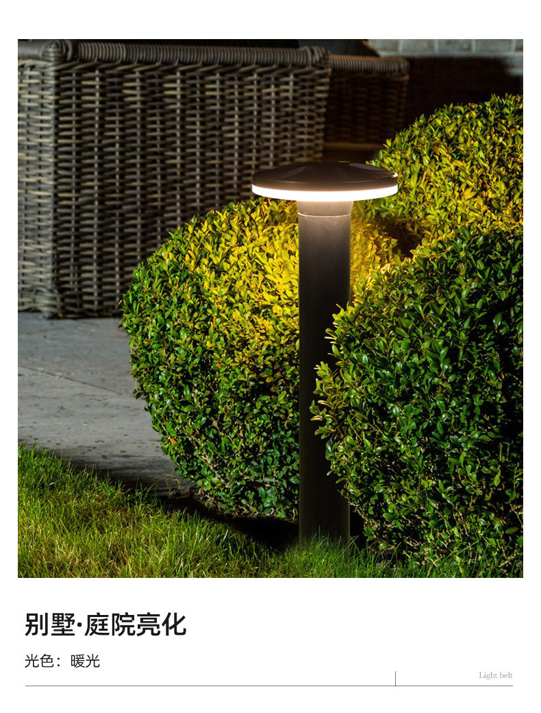Garden Light_07.jpg в стиле НЛО