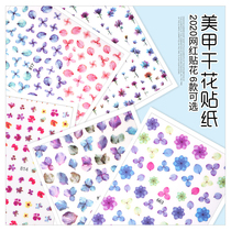 Medecine dry flower stickers net red tides 2022 new day series little fresh flowers nail applier with new items of adornment