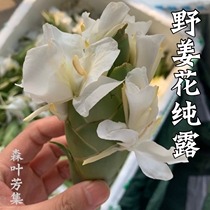 Wild ginger flower pure Dew class point dark warm Palace cold and wet hands and feet cold water moisturizing 250ml two pieces