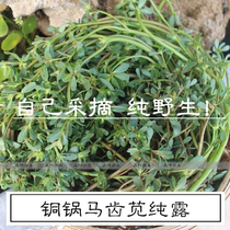 Wild purslane pure Dew soothing repair moisturizing barrier essential oil Toner white flower water 250ml beat 3