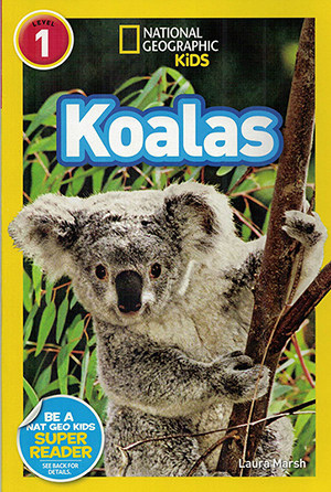 geographic kids koalas 美国国家地理 level 1儿童科普图画书 考拉