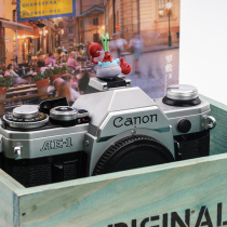 Cartoon hot shoe cover cute camera accessories stereo flash lamp holder protective cover dust cover universal micro camera