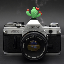 Love cactus micro single camera hot shoe cover universal SLR flash lamp holder protective cover dust cover