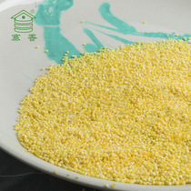 (Buy One Get One Free) Zhaixiang Yellow Millet 2021 New Rice Northeast Yellow Millet 400g Grain Lunar Rice