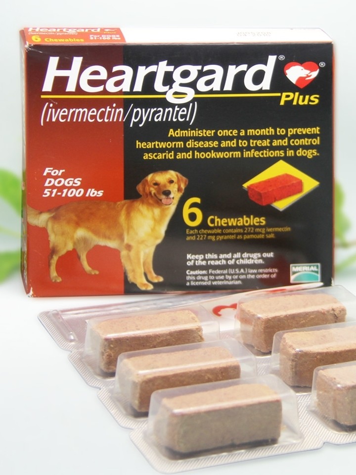 犬心保中型犬宠物狗狗体内驱虫药