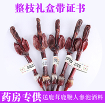 2020 Jilin Sika deer deer whip dried whole branches fresh stubble Changbai Mountain bubble wine gift box to send antler ginseng