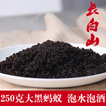 Black ant dry wine ant dry 250g Black prickly ant wine material Changbai Mountain mountain ant ant