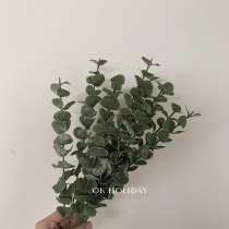 ins south korea emulation ugali green plant flower arrangement fake flower Nordic room home clothing retro money leaf branches leaves