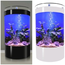 Fish tank living room large screen household glass free water change ecological bottom filter acrylic goldfish tank against the wall