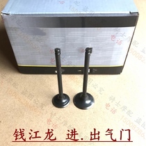 Motorcycle Qianjianglong QJ150-19A King Kong 150-16 valve intake valve exhaust valve