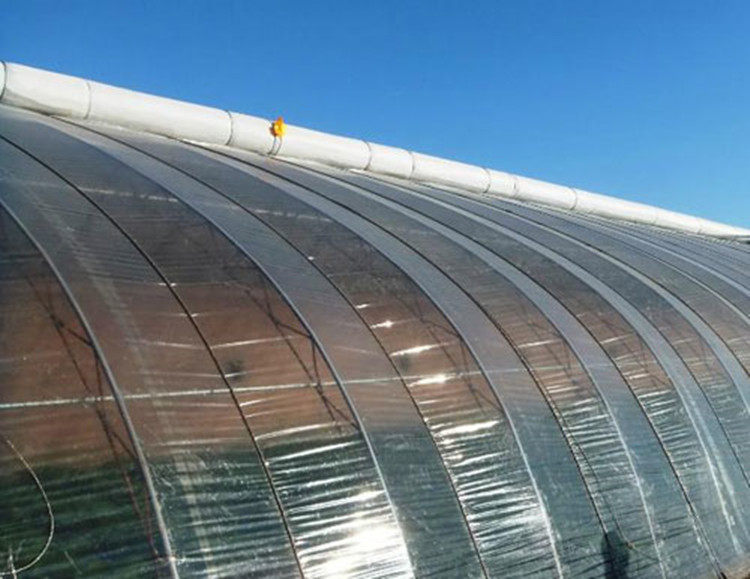 进口大棚膜塑料布薄膜纸防水po透明加厚无滴膜农资地膜养殖黑白膜