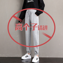 Sweatpants Spring and Autumn Lengthened New Edition High-fit and Fushy New Gray Pants Loose Leisure Beam New Guards