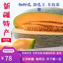 Xinjiang specialty authentic Jiashi eight-six King cantaloupe fresh fruit full reticulated yellow leather special melon King