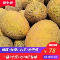 21 years of new products Xinjiang specialty Hami melon dry Melon Melon dry natural air dry without adding 250 grams