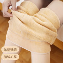 Stockings Womens autumn and winter light legs artifact naked feel plus velvet padded pantyhose dragon claw hair one-piece bottomless warm