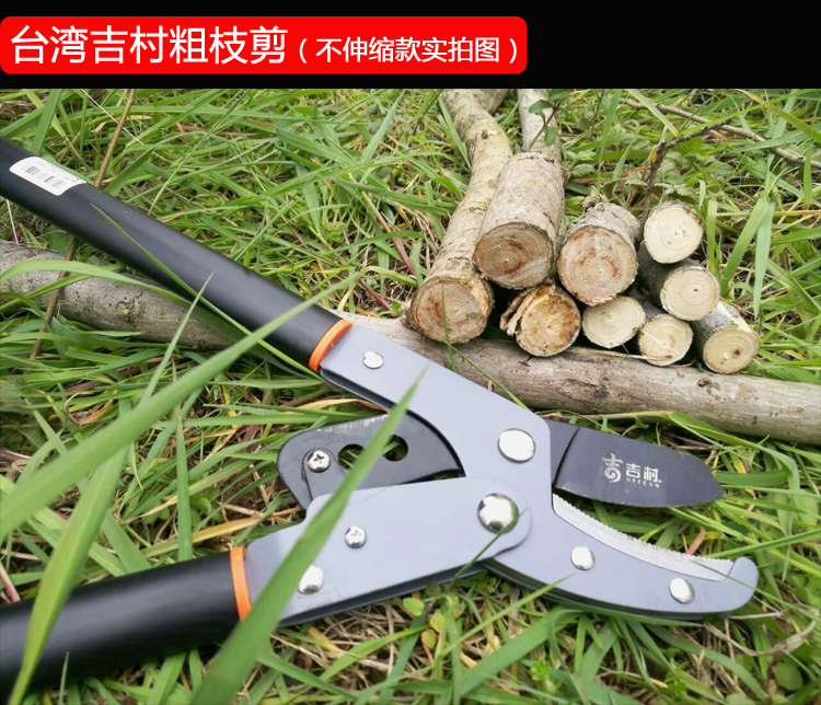 精品果树修剪树枝剪刀园林园艺省力剪刀修枝剪树剪子粗枝剪大力剪