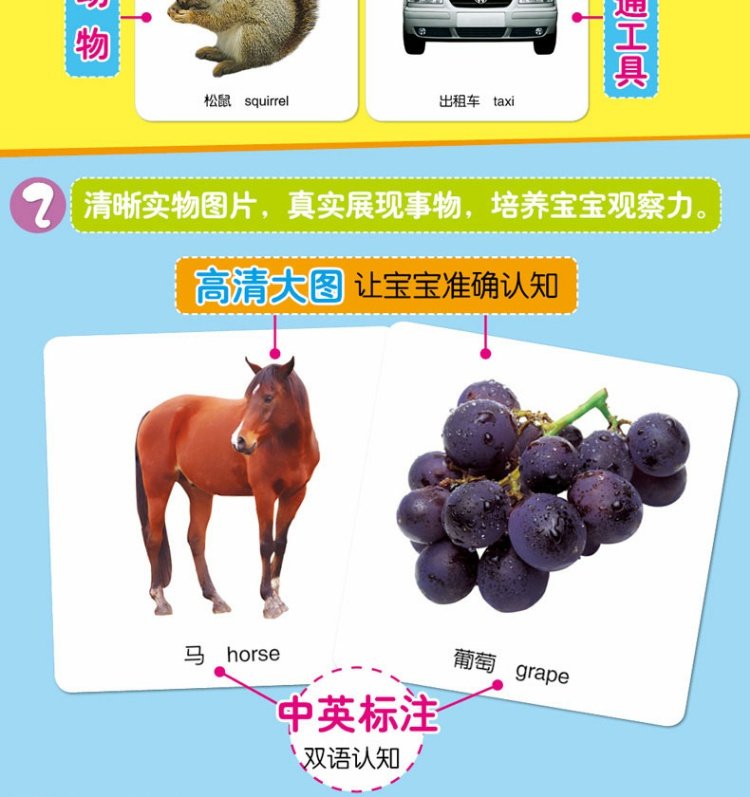 婴幼儿早教卡片 0-1-2-3岁宝宝启蒙认知卡片宝