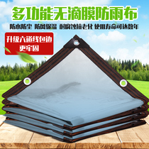 Eyewall perforated thickened transparent non-drip film rainproof waterproof cloth multi-meat green plant insulation cold film canopy shelter