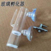 Fish tank Shrimp tank Aquarium Pneumatic crystal shrimp large egg type glass incubator Ornamental shrimp egg artificial incubator