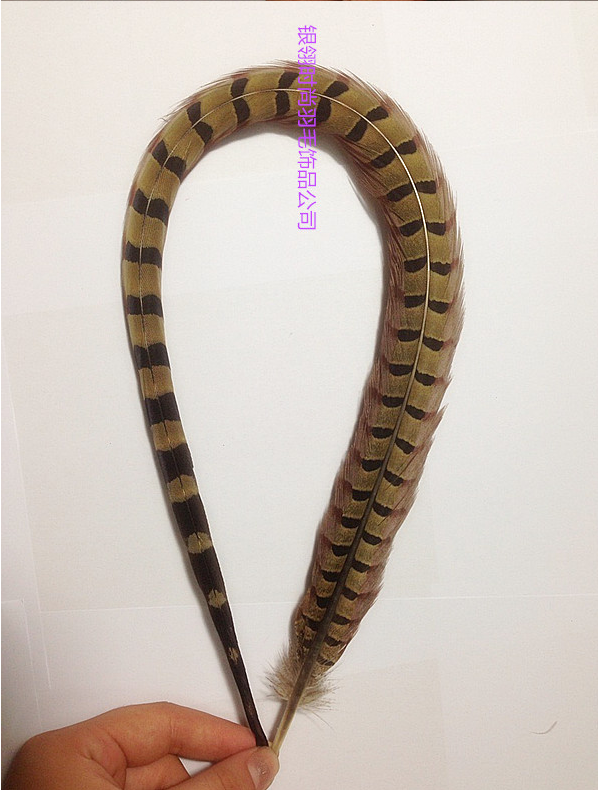 翎子头饰戏剧道具野鸡毛装饰翎毛野山鸡毛俏花旦头饰京剧舞蹈