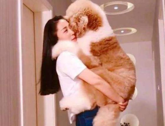 趣值买