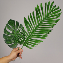 Simulation flower Santailed sunflower leaf turtle leaf plant ins Nordic green plant furnishings indoor and outdoor eucalyptus Willow Rattan