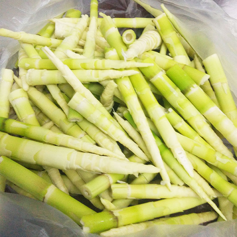 江西深山春笋现拔现发小竹笋新鲜野生带壳鲜嫩笋尖小笋 5斤还包邮